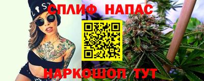 скорость Новозыбков