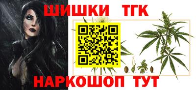 скорость Новозыбков