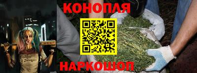 скорость Новозыбков