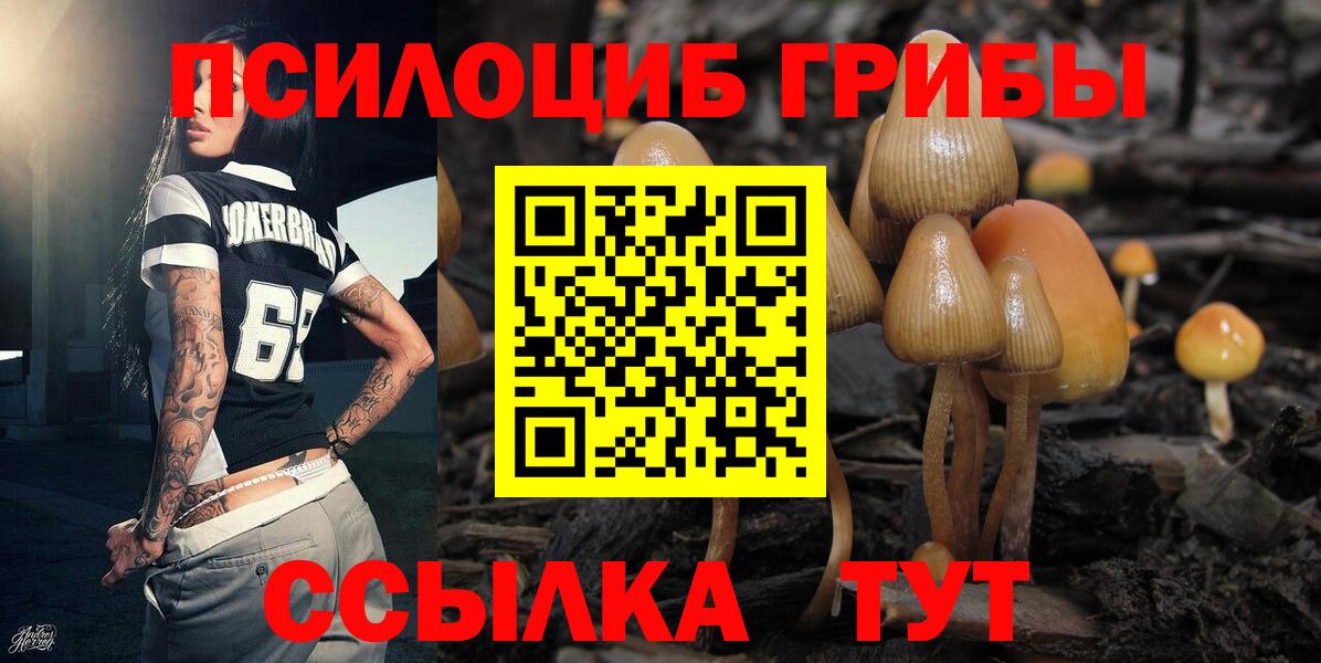 Унеча  Псилоцибиновые грибы мухоморы  Вход с VPN 